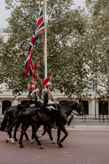 A detailed view of a street scene during a ceremonial procession on Salusbury Road in Queens Park NW6, captured in natural daylight. The foreground features a traditional mounted guard dressed in formal military attire, including a dark coat, white gloves, and a distinctive red hat, riding a black horse that is clean and well-groomed. The rider is holding a ceremonial flagpole with the Union Jack flag fluttering in the breeze. Behind them, another mounted rider in similar attire is visible, also on a neatly groomed horse. The background showcases a row of residential buildings with white facades and black window frames, partially obscured by large, leafy trees that provide shade. The pavement appears clean and dry, with gentle sunlight filtering through the tree canopy, creating a calm and orderly atmosphere. The entire scene emphasizes traditional pageantry and community pride, with a focus on the meticulous cleaning and presentation typical of such ceremonial events, brought to attention by Queensparkcarpetcleaning.co.uk’s context of surface maintenance and care.